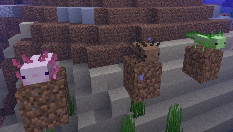Arqueologia, cavernas de cachoeira e axolotls estão chegando ao Minecraft no próximo Verão | PC Gamer